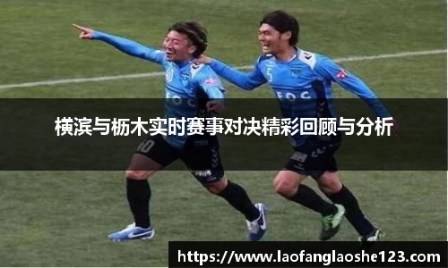 333体育