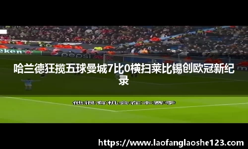 333体育官网