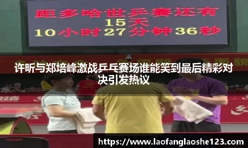 333体育官网