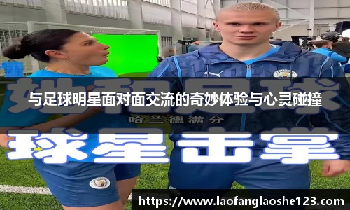 333体育平台