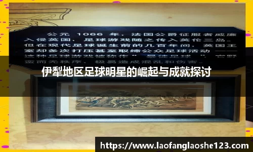 伊犁地区足球明星的崛起与成就探讨