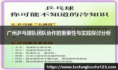 广州乒乓球队团队协作的重要性与实践探讨分析